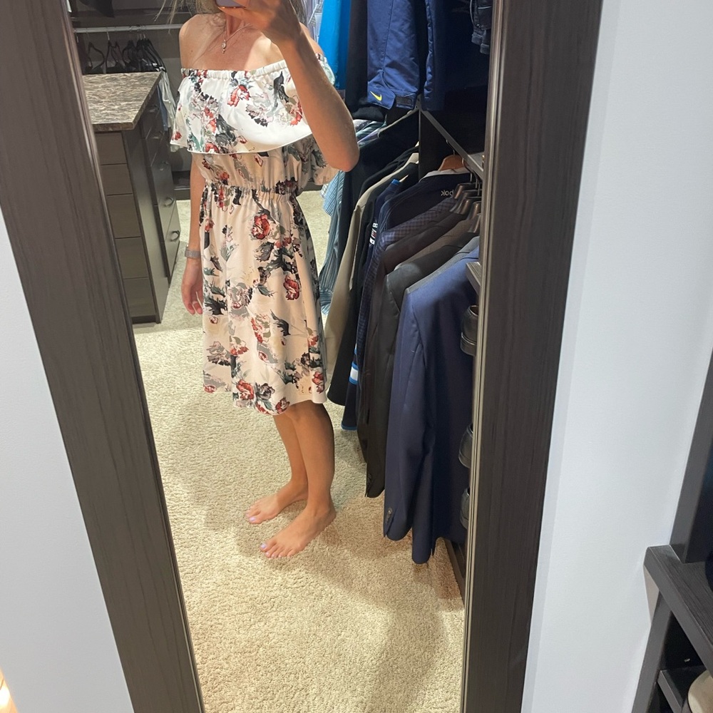 Wilfred Multicolor Floral Dress Size Small